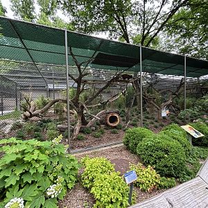 New Red Panda Exhibit, Former Jaguar