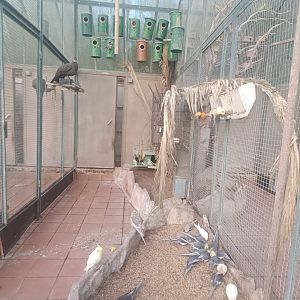 Mixed exhibit - Parque de Isabel la Catolica