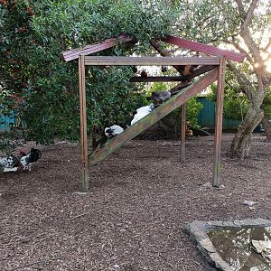 Mixed exhibit  - Parque de Isabel la Catolica