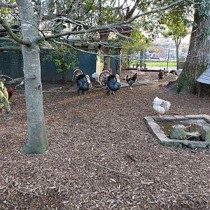 Mixed exhibit  - Parque de Isabel la Catolica