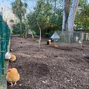 Mixed exhibit - Parque de Isabel la Catolica