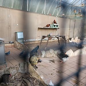 Mixed exhibit - Parque de Isabel la Catolica