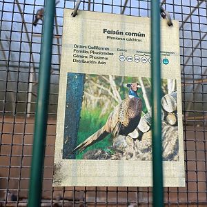 Sign - Parque de Isabel la Catolica