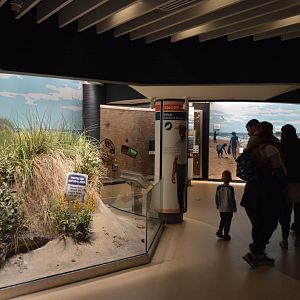 Living Seashore - Overview