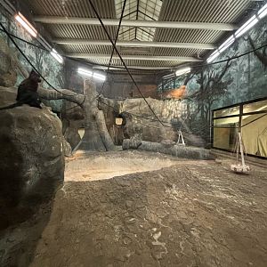 Former Chimpanzee Habitat?