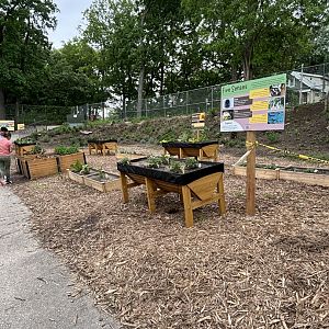 NEW Butterfly Garden Display