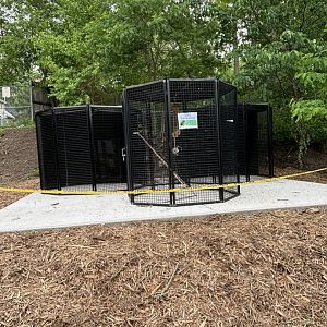 NEW Outdoor Macaw Display