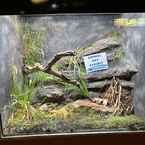 Unsigned New Exhibit