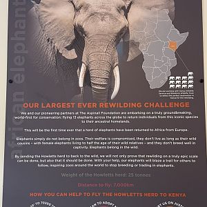 African Elephant Rewilding Project