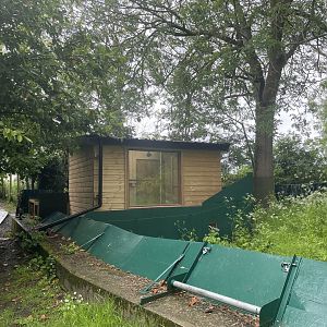 New Banded Mongoose indoor area