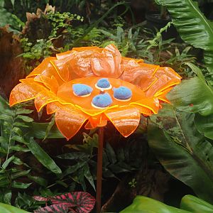 New butterfly nectar feeder/Drinking facility, 2024-05-28