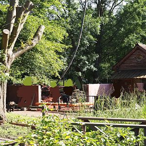 Tasmanian devil exhibit renovation and expansion with former wombat/echidna area - New landscaping and pouring of concrete, 2024-05-28