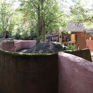 Tasmanian devil exhibit renovation and expansion with former wombat/echidna area, 2024-05-28