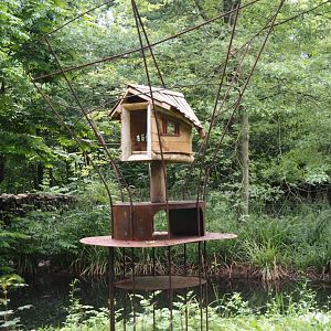 New tamarin feeder on South American monkey island, 2024-05-28