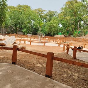 New petting zoo area 2