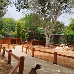 New petting zoo area 3