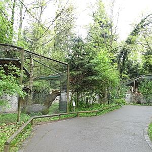 Andean condor enclosure
