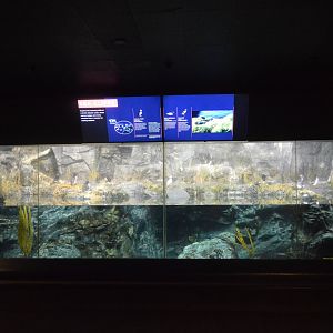 Sea Cliffs Exhibit - Overview