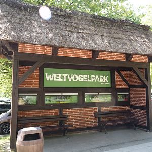 Bus stop next to parking lot with Weltvogelpark Walsrode signage, 2024-05-21