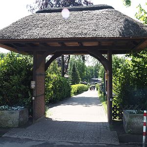 Walkway from parking lot to Weltvogelpark Walsrode, 2024-05-21