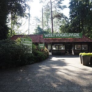 Entrance, 2024-05-24