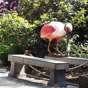 Bench with Roseate spoonbill statue, 2024-05-21