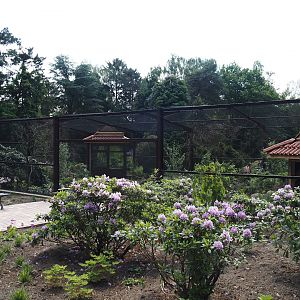 Reich der Mitte aviary - Chinese aviary near entrance and gift shop, 2024-05-21