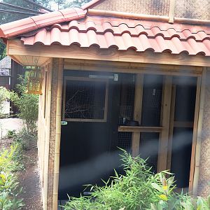 Reich der Mitte aviary bird house, 2024-05-23