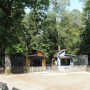 Chicken aviaries behind the playground, 2024-05-23
