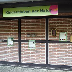 Display of nesting boxes and homes for birds and wildlife, 2024-05-24