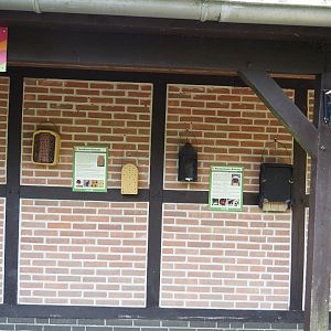 Display of nesting boxes and homes for birds and wildlife, 2024-05-24