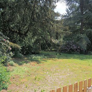 Muscovy duck exhibit, 2024-05-21