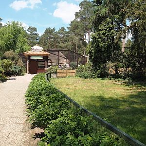Walkway and Muscovy duck exhibit, 2024-05-21