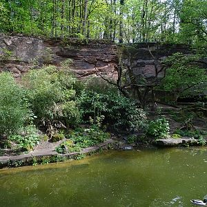 Siberian tiger enclosure