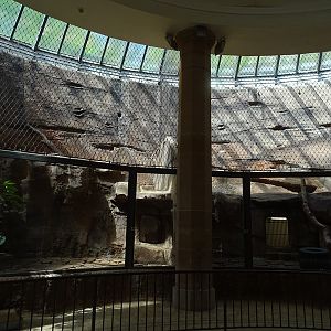 Carnivore House: lion indoor enclosure