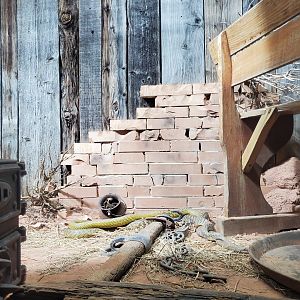 Inland Tapian exhibit