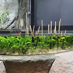 Paddy fields exhibit