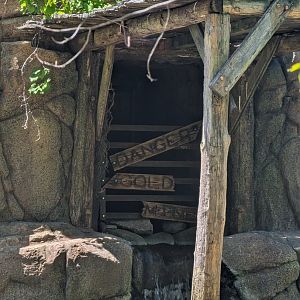 New detailing in the Pygmy Hippo exhibit