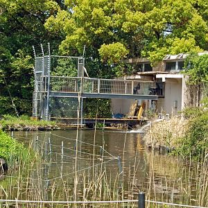 View of siamang island