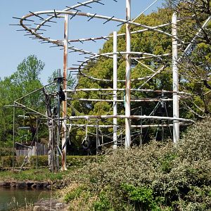 View of siamang island