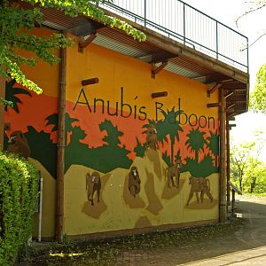 External wall of baboon pit