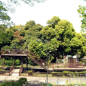 View of squirrel monkey island