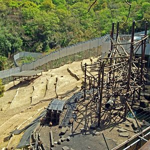 View of Japanese macaque enclosure