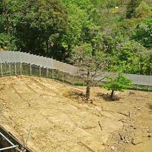 View of Japanese macaque enclosure