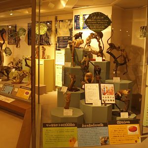 Primate museum