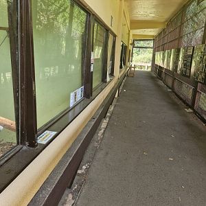 Covered walkway lemur complex