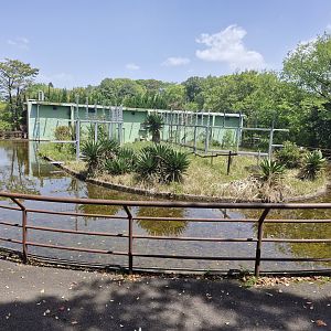 Rear of lemur complex