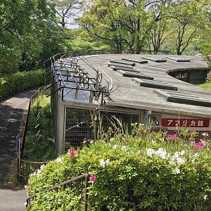 View of row of cages