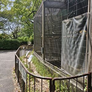 View of row of cages