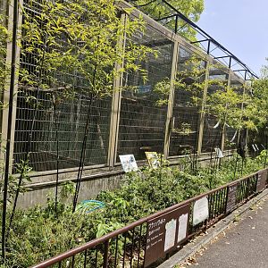 View of row of cages